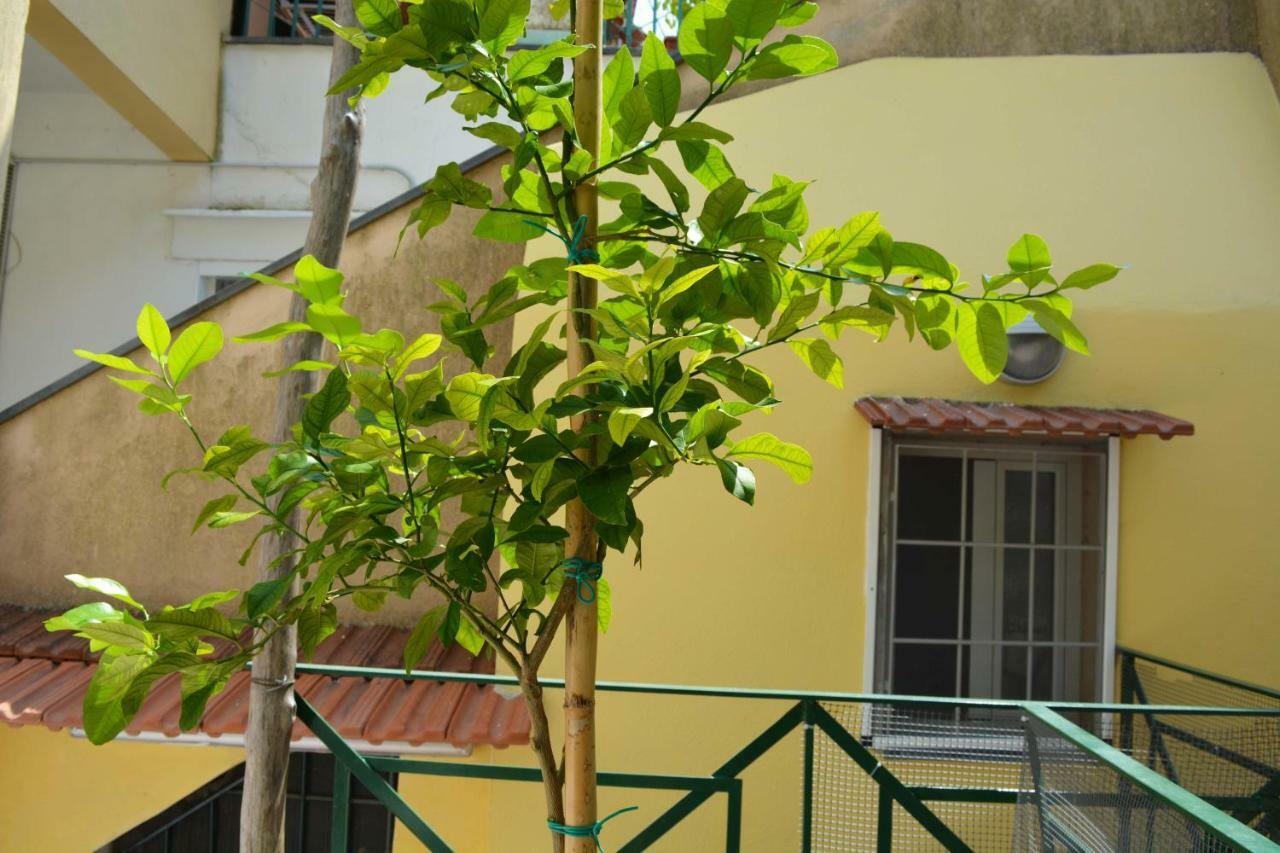 La Bomboniera Villa Maiori Dış mekan fotoğraf